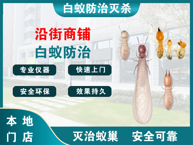 湖州沿街商铺白蚁防治