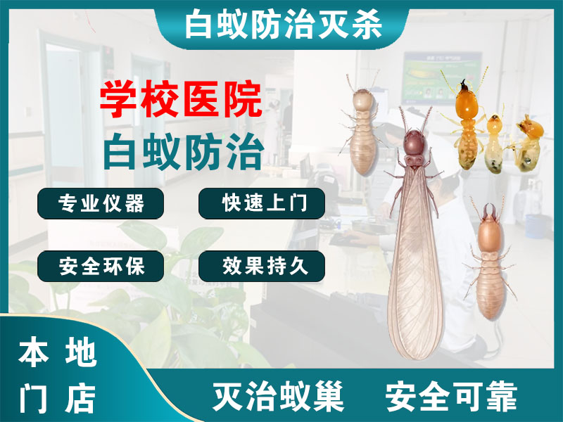 湖州学校医院白蚁防治