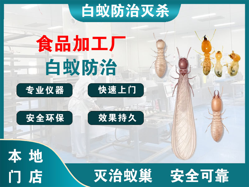 湖州食品加工厂白蚁防治