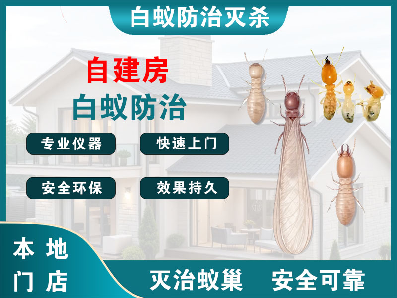湖州自建房白蚁防治