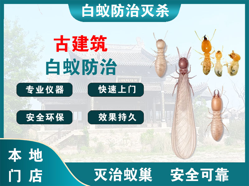 湖州古建筑白蚁防治