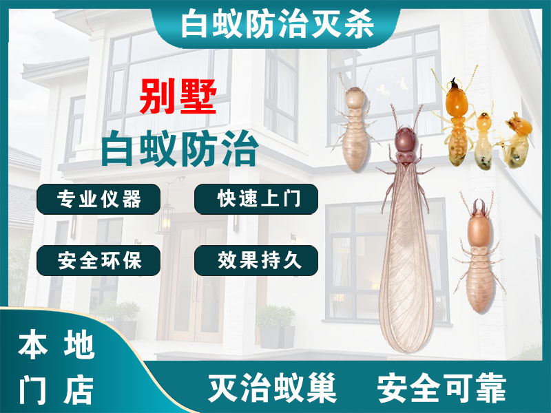 湖州别墅白蚁防治