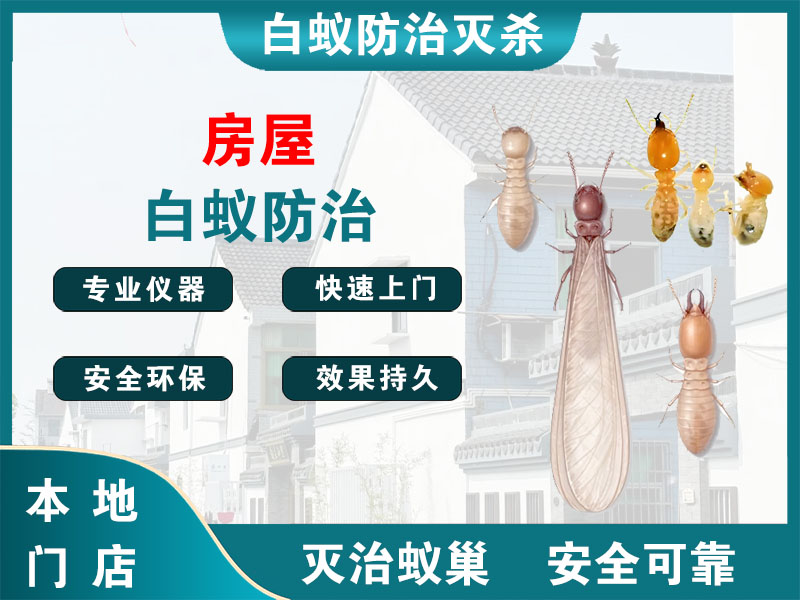 湖州房屋白蚁防治